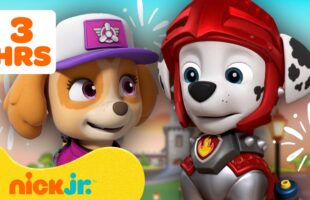 Assista a 3 Horas do NOVO Patrulha Canina – Diversão Sem Fim | Nick Jr. em Português