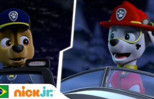 Assista a PAW Patrol Pioneiros Filhotes – Mais de 30 Minutos de Aventura | Nick Jr.