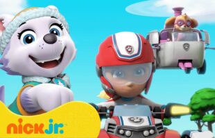 Assista aos Melhores Resgates de Cachorrinhas da Patrulha Canina com Skye, Everest e Katie | Nick Jr.